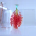Virus Marin
