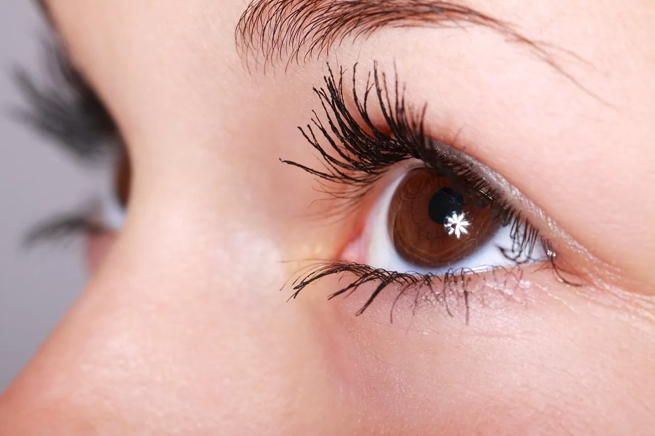 Comment bien maquiller les yeux marron